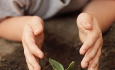 Nurturing Life